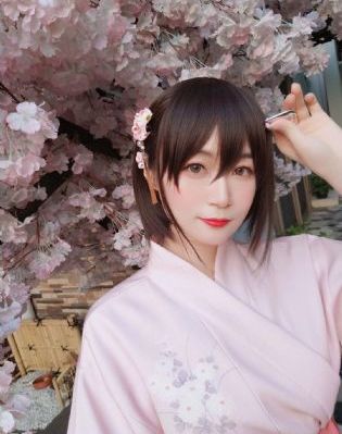 带泪梨花之美丽重生 2013 郑清文_1080P全集免费播放