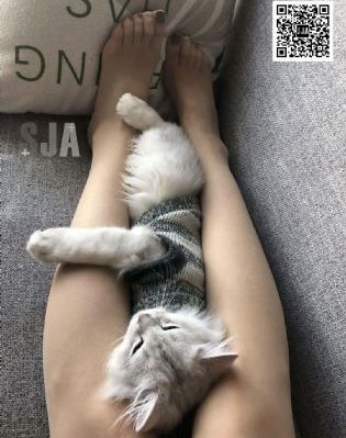 《不能说的秘密》电影_DVD电影在线看