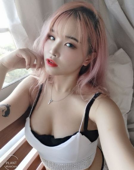 陈情令电视剧50集免费观看_在线手机观看