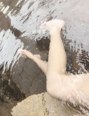 钢琴家_DVD手机在线看